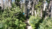 PICTURES/Spectra Point - Rampart Trail Overlook/t_Trail through the vegetation.JPG